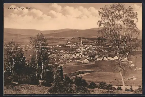 AK Zwiesel / Rachelsee, Ortsansicht aus der Vogelschau