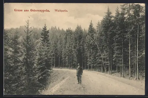 AK Ostercappeln, Waldpartie
