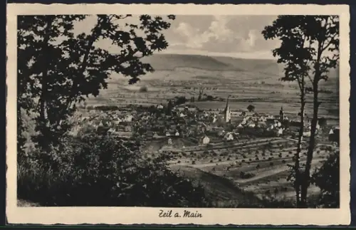 AK Zeil a. Main, Panoramaansicht der Stadt und Umgebung