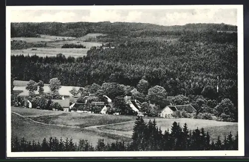 AK Hermes im Frankenwald, Ortsansicht umgeben von Wald und Wiesen
