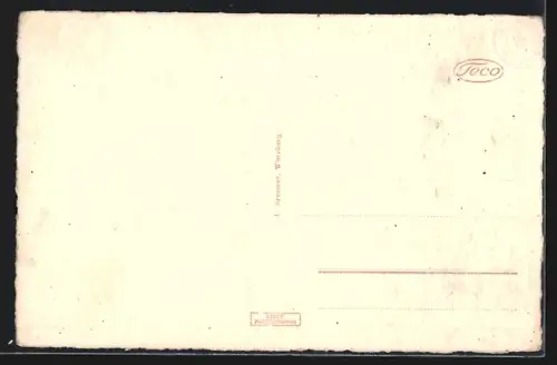 AK Hof a. d. Saale, Stadtansicht