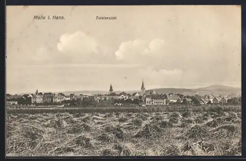 AK Melle i. Hann., Totalansicht