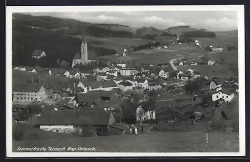 AK Teisnach /Bay.-Ostmark, Ortsansicht mit Kirche und umliegender Landschaft