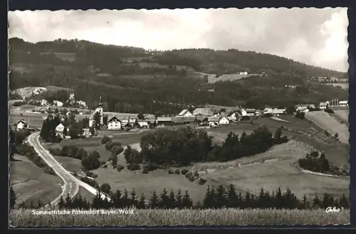 AK Patersdorf / Bayerischer Wald. Wald, Ortsansicht, Landschaft