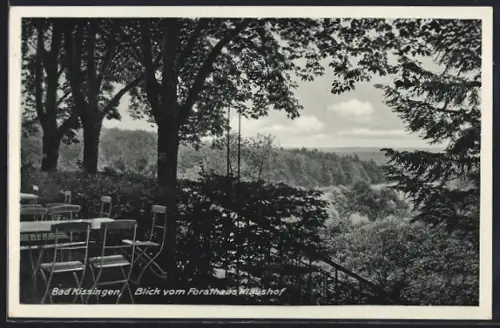 AK Bad Kissingen, Blick vom Forsthaus Klaushof