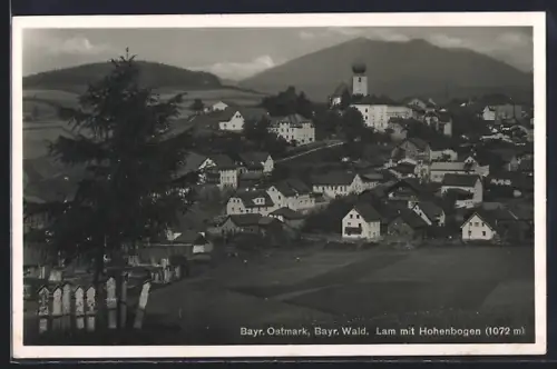 AK Lam /Bayr. Ostmark, Hohenbogen, Ortsansicht