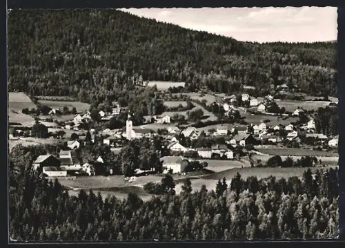 AK Böbrach /Bayer. Wald, Ortsansicht mit Waldpartie