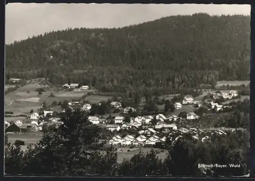 AK Böbrach /Bayer. Wald, Ortsansicht mit Waldpanorama