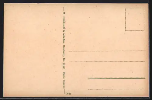 AK Bad Salzuflen, Partie am See mit Ruderboot