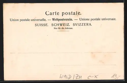 AK Wald /ZH, Povalp, Bauernhäuser und Kühe vom Berghang aus gesehen um 1900