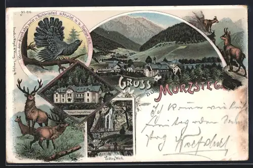 Lithographie Mürzsteg, Kaiserl. Jagdschloss, Todtes Weib, Auerhahn und Hochwild
