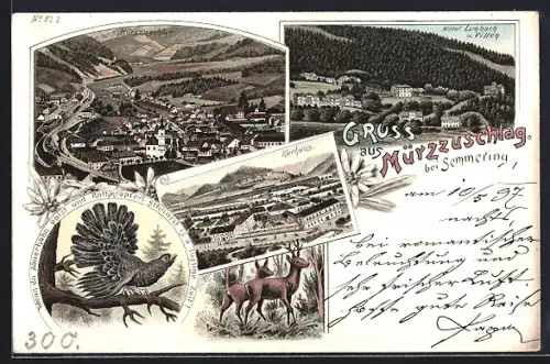 Lithographie Mürzzuschlag bei Semmering, Hotel Lambach und Villen, Kurhaus, Auerhahn auf einem Ast