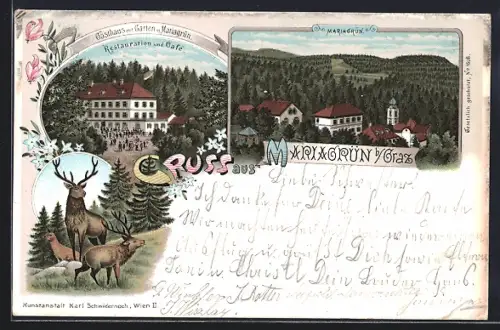 Lithographie Graz, Mariagrün, Restaurant und Cafe, Blick über den Ort
