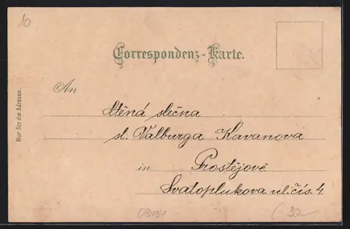 Lithographie Leoben /Obersteier, Bergmann-Brunnen, Stadtthurm, Hauptplatz, Gesamtansicht