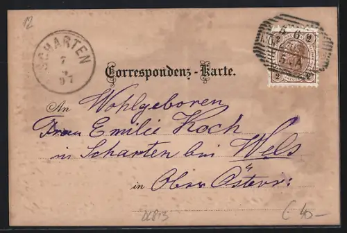 Lithographie Mürzzuschlag, Hotel Lambach, Ortsansicht aus der Vogelschau