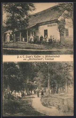 AK Tobelbad, D. u. C. Luger`s Cafe u. Milchgasthaus zur Milchmariandl