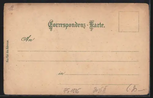 Lithographie Mürzhofen i. Mürzthal, Rinnerer`s Gasthof, Stadler`s Geschäftshaus und Totalansicht