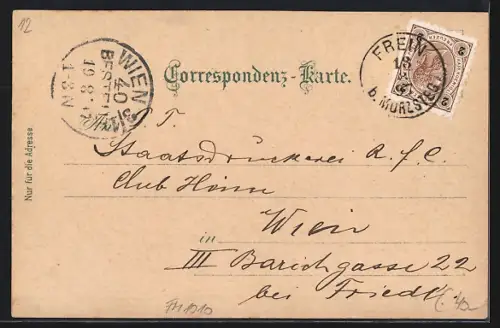 Lithographie Frein b. Mürzsteg, Adolf Mayer`s Gasthof, Wasserfall zum Todten Weib