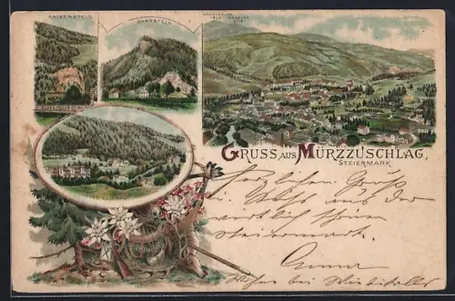 Vorläufer-Lithographie Mürzzuschlag /Steiermark, 1894, Hotel Lambach, Kaiserstein, Gansstein