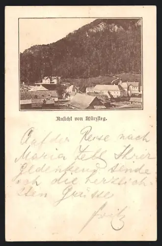 Vorläufer-AK Mürzsteg, 1895, Teilansicht aus der Vogelschau