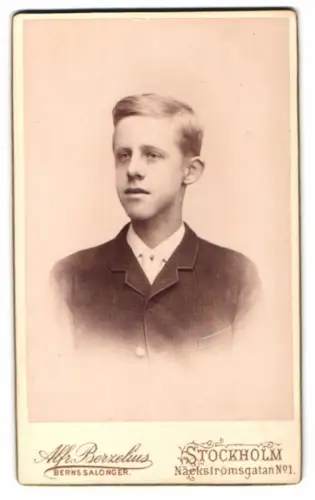 Fotografie Alf. Berzelius, Stockholm, Näckströmsgatan 1, Portrait eines Jungen 1890