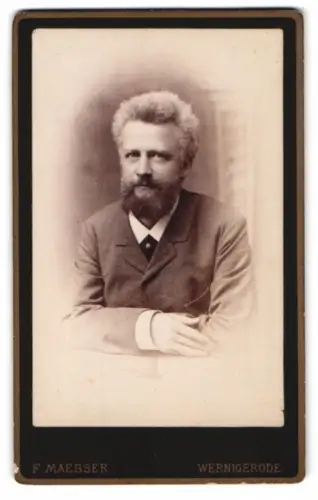 Fotografie F. Maesser, Wernigerode, Burgthor, Portrait eines Mannes mit Bart