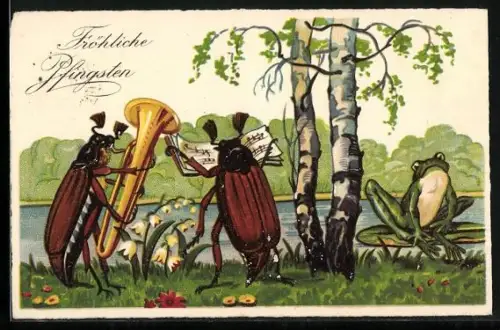 AK Frosch auf Seerosenblatt und musizierende Maikäfer mit Blasinstrument, Pfingstgruss