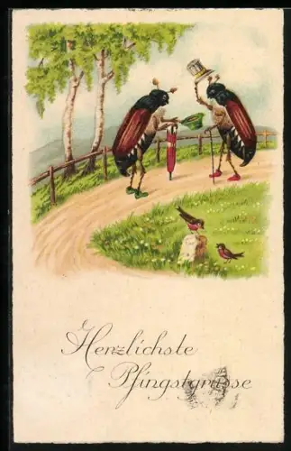 AK Zwei Maikäfer lüpfen ihre Hüte zur Begrüssung, Pfingstgruss