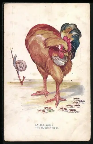 AK Russian Cock, Hahn beobachtet Ameisen auf dem Weg