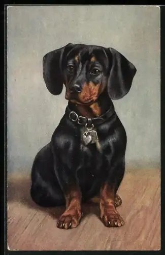 AK Dackel mit Herz am Halsband