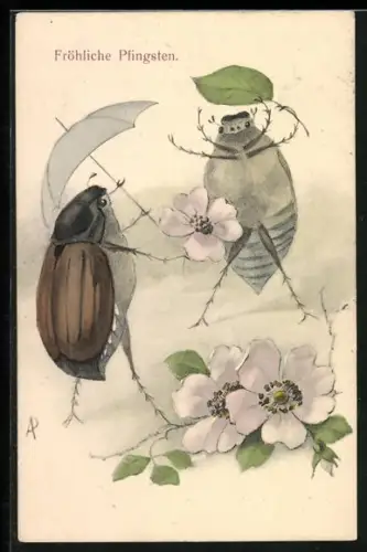 AK Maikäfer mit Schirm übergibt Maikäfer mit Blatt als Schirmersatz eine Rose, Pfingstgruss