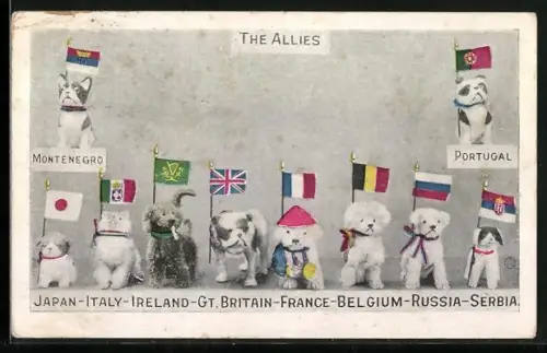AK The Allies, Kleine Hunde unterschiedlicher Rassen mit Nationalflaggen Japan, Italien, Grossbritannien, Frankreich etc.