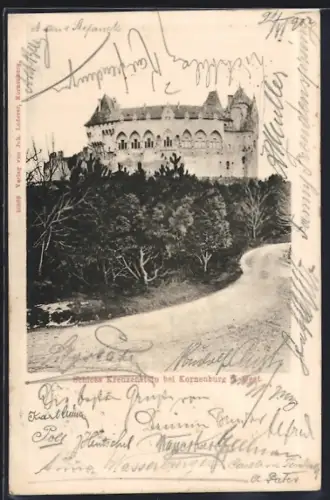 AK Kreuzenstein bei Korneuburg, Schloss Kreuzenstein mit Auffahrt
