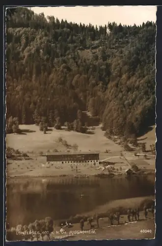 AK Lunzersee /N. Oe., Blick auf das Jugendheim vom gegenüberliegen Ufer
