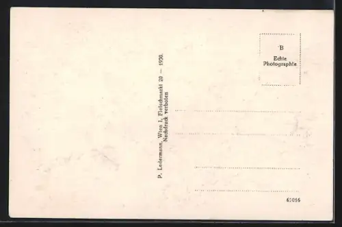 AK Weissenbach a. d. Triesting, Ortsansicht aus der Vogelschau