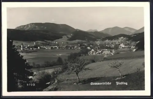 AK Piesting, Ortsansicht mit Kirche und Fabrik