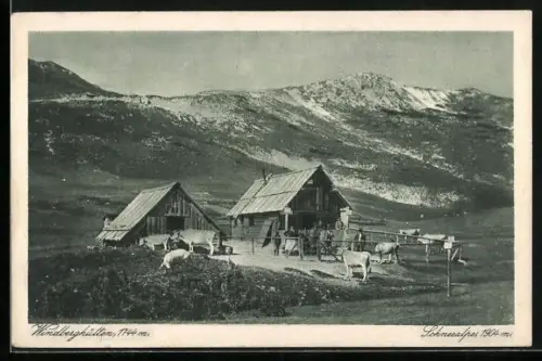 AK Windberghütten, Schneealpe mit Kühen