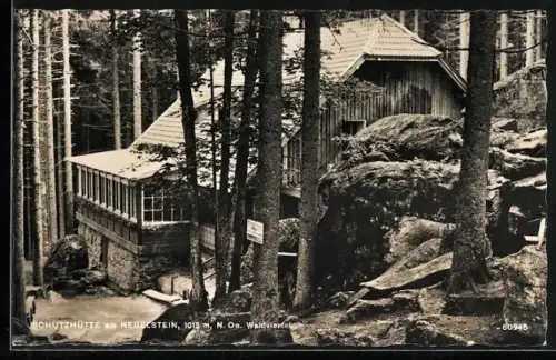 AK Schutzhütte am Nebelstein, Blick zur Hütte im Wald