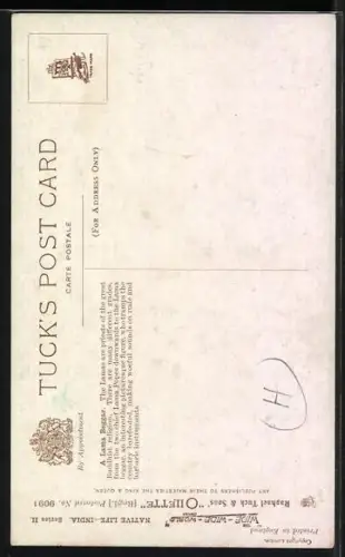 AK Indien, Inder mit Tabakpfeife und Trommel