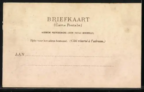 AK Haarlem, Haarlemer Staalwater, Wilhelminabron, Het Brongebouw, Parkzijde