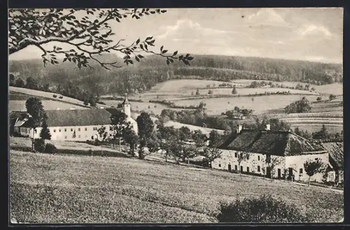 AK Eidenberg /Mühlkreis, Ortsansicht vom Berghang aus