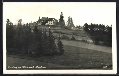 AK St. Johann am Wimberg, Hansberg im Mühlviertel, Ortsansicht mit Partie der Anhöhung