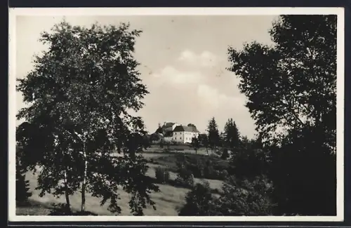 AK St. Johann am Wimberg, Hansberg /O.-Oe., Gasthaus, Sommerfrische und Wintersport, Inh. Ludwig Seyrl