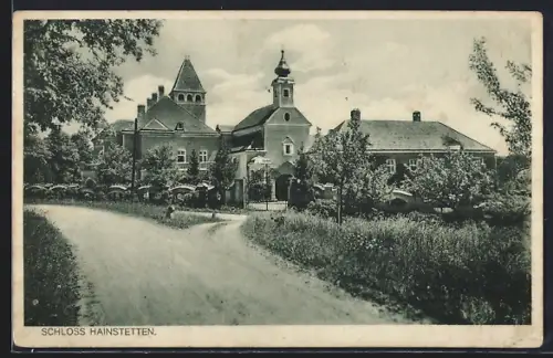 AK Viehdorf, Schloss Hainstetten und Zufahrt
