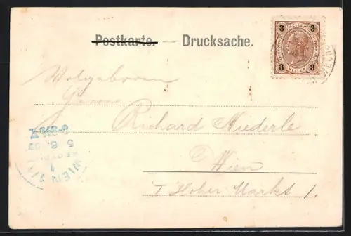 AK Feistritz am Wechsel, Teilansicht mit Bergpanorama aus der Vogelschau