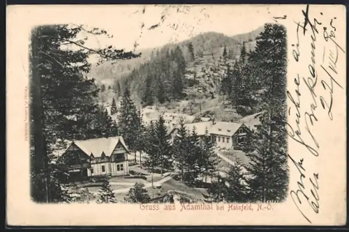 AK Ramsau bei Hainfeld, Adamthal, Ortsansicht