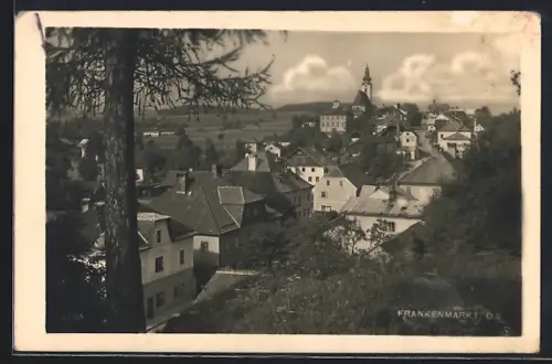 Foto-AK Frankenmarkt, Teilansicht der Gemeinde