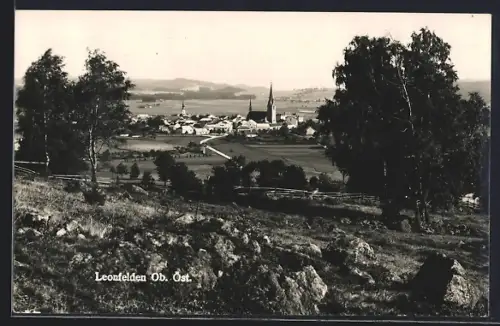 AK Leonfelden /Ob. Öst., Ausblick auf den Ort