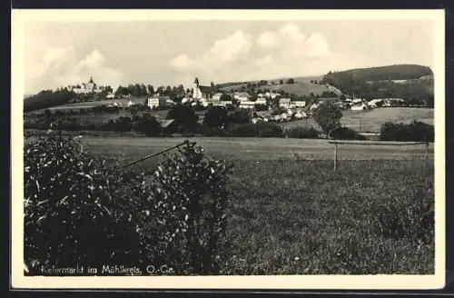 AK Kefermarkt im Mühlkreis, Blick über die Weide