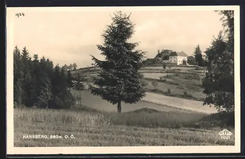 AK Hansberg /O. Ö., Ausblick auf Gastwirtschaft von Ludwig Seyrl